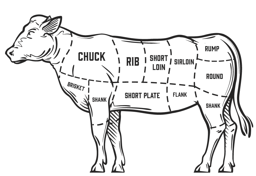 Cow Interactive Resource